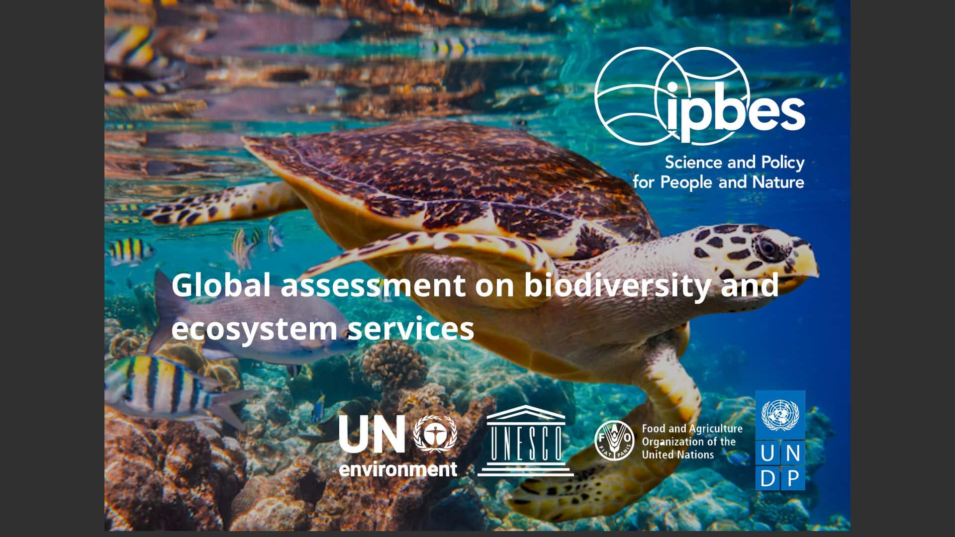 ipbes-global-assessment-on-biodiversity-and-ecosystem-services-thefuture