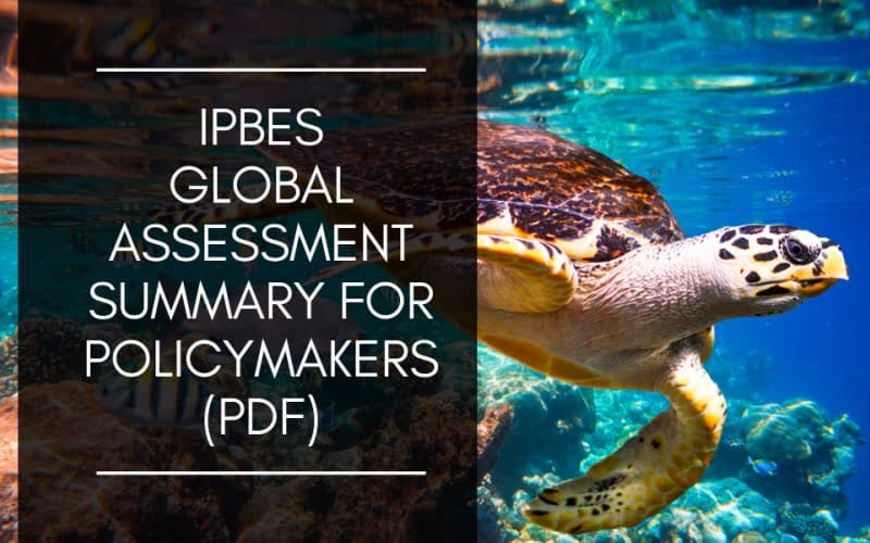 IPBES, Global Assessment On Biodiversity And Ecosystem Services - Thefuture